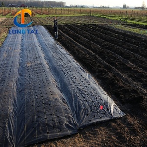 De servicio pesado paisaje de Agronomía de efecto invernadero Tierra cubierta de plástico de PP de 90gsm respetuoso del medio ambiente en el jardín de película de plástico cubierta de tierra - Product Image 1