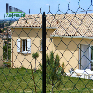 Haute qualité <span class=keywords><strong>France</strong></span> grillage cloture blanc rouleau/clôture à maillons de chaîne prix - Product Image 3