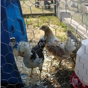 Satılık horoz kafes/horoz kafesi/köpek kafesi - Product Image 2