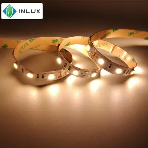 DC 24 V 12 V SMD 5050 60 LED/M Warm White Cool White 2700 K 4000 K 16.4ft 300 LED IP20 IP65 IP67 IP68 Tinggi CRI LED Strip 5050