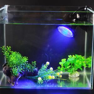 Éclairage de jardin <span class=keywords><strong>LED</strong></span> amphibie imperméable <span class=keywords><strong>multicolore</strong></span>, projecteurs de jardin d'extérieur pour aquarium - Product Image 3