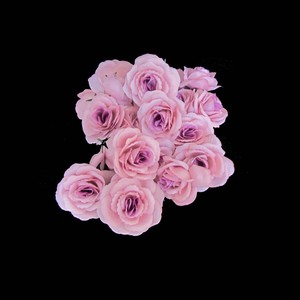 Wholesale Silk Large Artificial Flower Heads Yiwu New Year Decor Decorative Flowers &amp; <strong>Wreaths</strong> <strong>Small</strong> Mother&amp;#39;s Day Gifts 10cm - Product Image 2