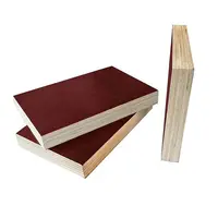 Película recubierta de resina fenólica para uso en exteriores, madera contrachapada de 12mm, 15mm, 18mm, 5x8, el mejor precio