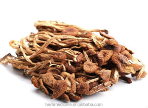 CHA SHU GU-hongos naturales <span class=keywords><strong>de</strong></span> columna natural, <span class=keywords><strong>seta</strong></span> <span class=keywords><strong>de</strong></span> álamo natural, agrícola, seca, en venta - Product Image 2