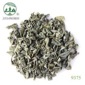 中国九龙山9375有机绿茶火药茶