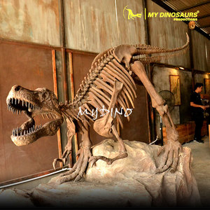 V-modelo de esqueleto de dinosaurio de calidad de museo, tamaño Real - Product Image 4