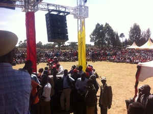 Thiết Kế Mới <span class=keywords><strong>10</strong></span> Inch Đầy Đủ Phạm Vi Ngoài Trời Dòng Mảng Hệ Thống Loa - Product Image 5