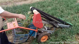 Récolte de petits entonnoir pour la récolte des légumes, pour 7 pouces, <span class=keywords><strong>prix</strong></span> d'usine - Product Image 5