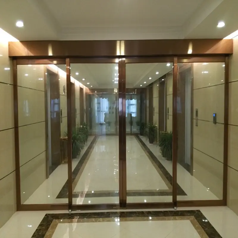 Luxury Art Interior Glass Door, Deep Carved Glass Partition, Tempered Glass Sliding Doors