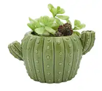 Indoor En Outdoor Stroomlijnen Cactus Vormige Keramische Bloem Planter Pot Decoratie Voor Desktop Tuin Venster