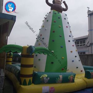 Muro <span class=keywords><strong>de</strong></span> <span class=keywords><strong>Escalada</strong></span> Inflable en Oferta, Precio <span class=keywords><strong>de</strong></span> Fábrica - Product Image 4