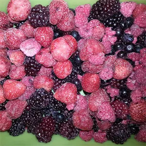 High Quality Hot Sale Product IQF Fruits Frozen Mixed Berries