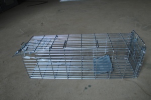 En çok satan canlı sıçan sincap tuzak kafesi s serbest kapı ile galvanizli canlı vahşi hayvanlar tuzak kafesi - Product Image 6