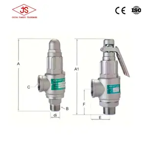 High Quality Stainless Steel Boiler Gas Safety Valve