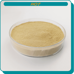 Poudre de levure FPP-4 pour la <span class=keywords><strong>fortification</strong></span> en protéines des aliments pour animaux - Product Image 2