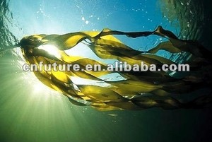Fertilizante Super Gros Foliaire NPK para Uvas Fertilizante Agrícola Líquido - Product Image 2