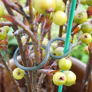 Clips de planta de tomate verde de plástico RAPITECH GT018 para uso en jardín - Product Image 2