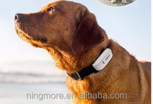 Localizador GPS TKSTAR <span class=keywords><strong>TK909</strong></span> con GPS/GSM para Gatos/Perros con Collares - Product Image 4