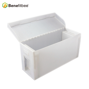 A prueba de agua 5 marco plástico caja abeja colmena NUC cajas <span class=keywords><strong>para</strong></span> la venta - Product Image 5