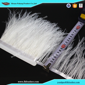 Fukang <span class=keywords><strong>blanco</strong></span> al por mayor <span class=keywords><strong>de</strong></span> plumas <span class=keywords><strong>de</strong></span> <span class=keywords><strong>avestruz</strong></span> cinta uso en graduación diseño <span class=keywords><strong>de</strong></span> vestuario - Product Image 1