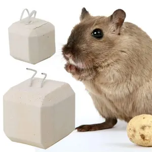 Hamster Çiğnemek Oyuncaklar Pet Askı Molar Taş Çiğnemek Davranır Dişli Taşlama Bloğu Taşlama Molar Taş Çiğnemek Oyuncak Renk Rastgele