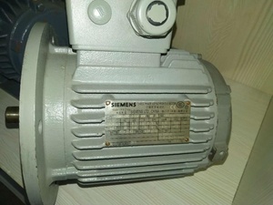 Motor de Inducción Trifásico de CA de Alta Eficiencia Serie 1LE0001 de SIEMENS - Product Image 4