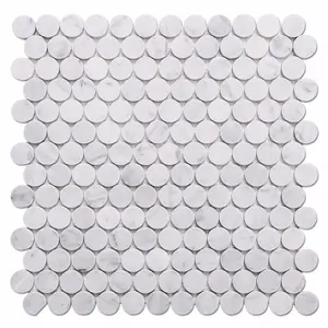 1 ''Polished Bianco Carrara White Marble Penny Round Mosaic Tile