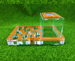 Helder Acryl Dier Huis Acryl Mierendoos - Product Image 6