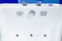 Magnifique Piscine Spa Bébé Pliable Lumineuse et Colorée, Baignoire Autonome Écologique en Acrylique avec Fonction Massage