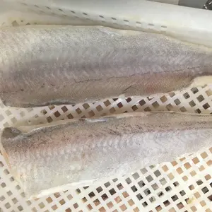 2018 Hot Sale Frozen South Blue Whiting Fillet