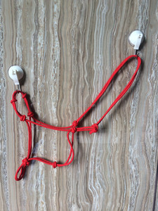 En gros équestre Cheval Licol - Product Image 6
