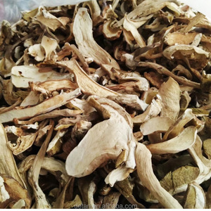 Detan salvaje rebanada seca <span class=keywords><strong>boletus</strong></span> - Product Image 5
