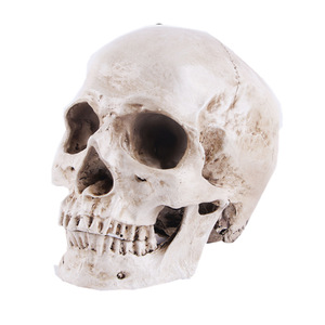 Crânes en résine d'Halloween pour la décoration - Product Image 5