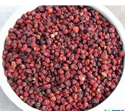 2% 5% 9% シサンドラベリーエキスパウダーシサンドラフルーツエキス - Product Image 3