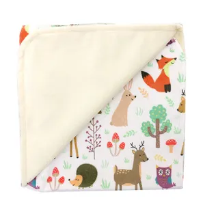 2022 Geprägte Super Soft Compact Travel Katzen sitz Sublimation Minky Baby decke