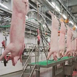 Industrielle Schwein schlachtung linie ausrüstung maschine