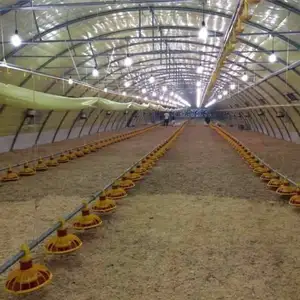 Equipo de granja avícola de invernadero de un solo túnel