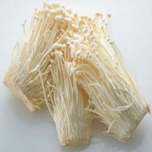 Haute Qualité Naturel <span class=keywords><strong>Enokitake</strong></span> Extrait - Product Image 2