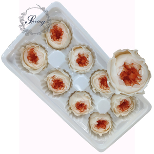 Preserved Flower <strong>Japan</strong> Preserved <strong>Peony</strong> Preserved David Austin for Bouquet De Fleur Roses