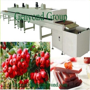 Produktions linie für Frucht leder/Obstriegel - Product Image 3