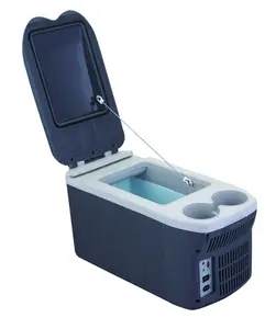 Mini geladeira elétrica portátil para carro, frigorífico de 12v, 8 litros, refrigerador e aquecimento
