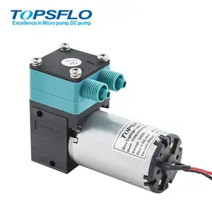 TF30B-A 6 v 12 v 或 24 v 迷你液体泵