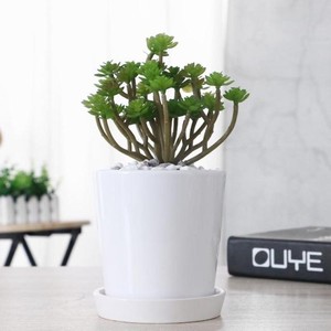 Barato 4 pulgadas blanco pequeño redondo planta <span class=keywords><strong>de</strong></span> cerámica Mini suculentas <span class=keywords><strong>macetas</strong></span> Juego <span class=keywords><strong>de</strong></span> platillos decoración <span class=keywords><strong>de</strong></span> <span class=keywords><strong>Navidad</strong></span> maceta <span class=keywords><strong>de</strong></span> cerámica roja - Product Image 6