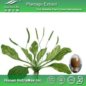 Doğal Plantago Asiatica / Asiatic muz/muz bitki özü bitki özü - Product Image 2