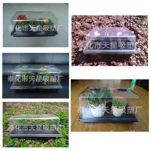<span class=keywords><strong>2016</strong></span> macetas de cerámica caliente - Product Image 2