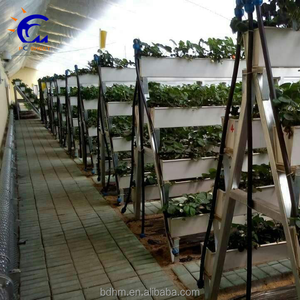 Invernadero Hidropónico de Policarbonato con Sistema de Cultivo para Vegetales - Product Image 2