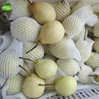 Китайские сезонные фрукты, азиатская груша