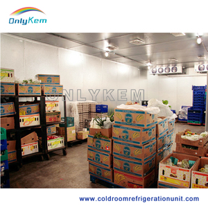 Refrigerador Room Apple Store Sala venta con insultado panel - Product Image 1