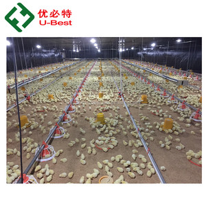 Equipo <span class=keywords><strong>de</strong></span> Control Climático <span class=keywords><strong>de</strong></span> Diseño Moderno para Gallineros, Comedero/Bebedero/Ventilador/Panel <span class=keywords><strong>de</strong></span> Enfriamiento/Calefactor para Gallineros/Establos/Jaulas - Product Image 2