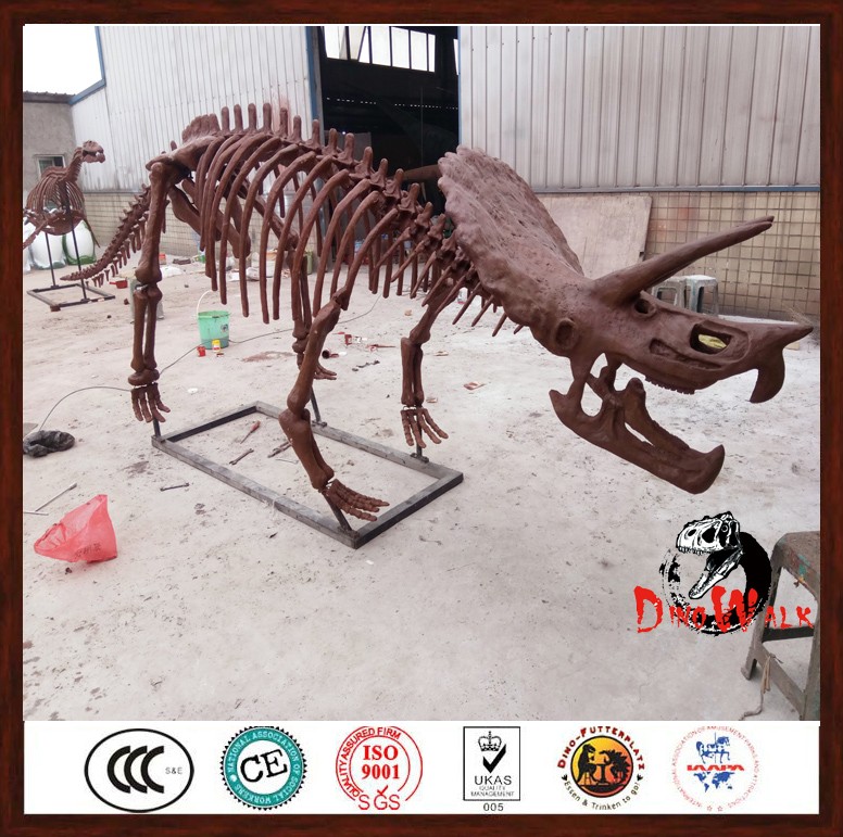 Dino0261動物園恐竜公園ブラキオサウルス恐竜頭化石スケルトン